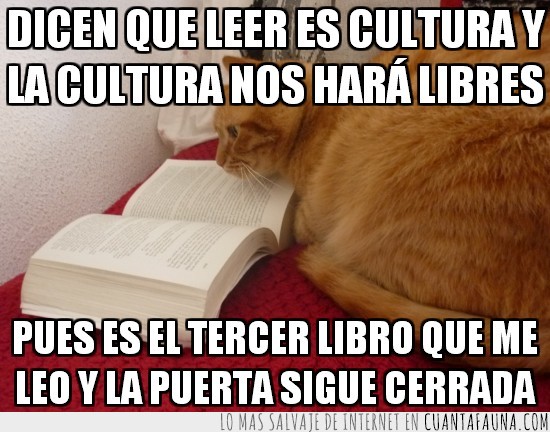 cultura,leer,gato,leyendo,libertad,puerta cerrada,libre