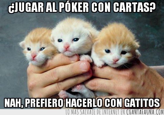 poker,gatitos,manos,trio,gatos,cartas
