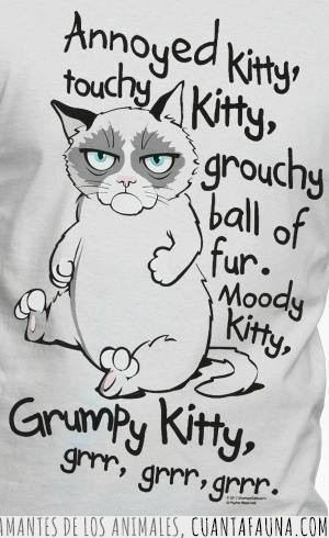 grumpy cat,gato,soft kitty,sheldon,cancion