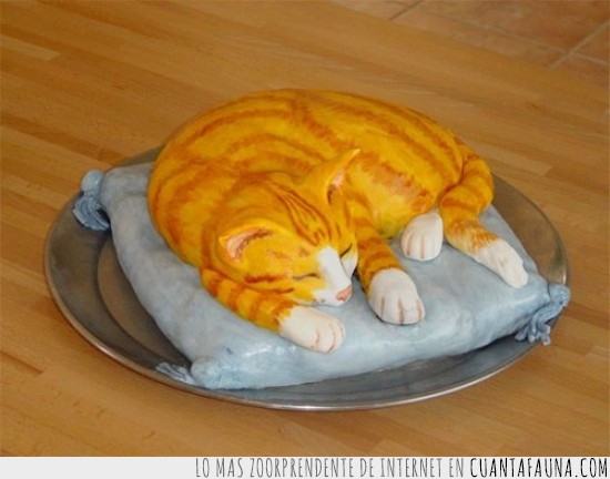 pastel,gato,dormido,tarta,dulce