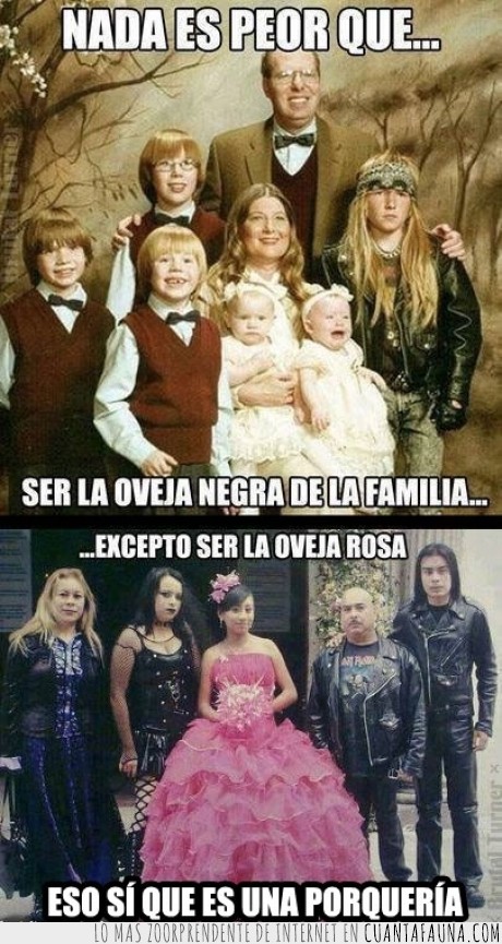 rosa,negro,goth,familia,foto familiar,xv años,oveja