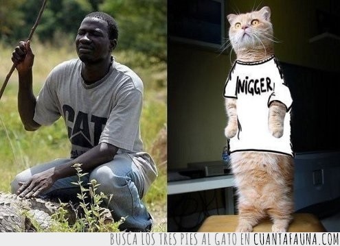 nigger,gato,camiseta,llevar,nombre,cat