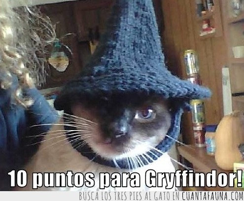 Harry potter,Gryffindor,puntos,Mcgonagall,sombrero