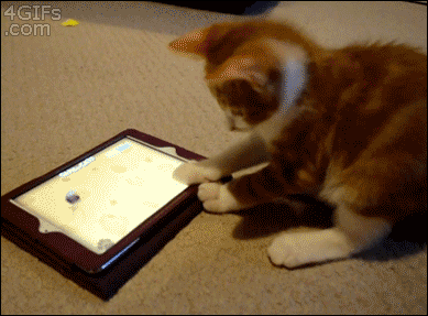atrapar,divertido,gato,juego,jugar,tablet