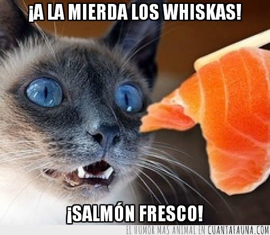 salmon fresco,pescado,whiskas,a la mierda