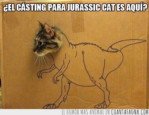 jurassic cat,casting,caja,dibujo,carton,dinosaurtio,gato
