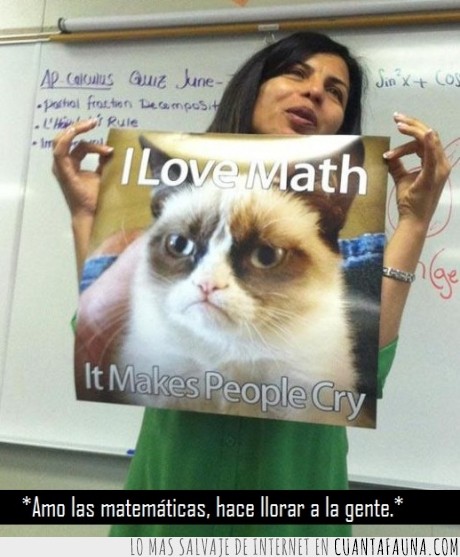 matematicas,profesora,llorar,grumpy cat,gato