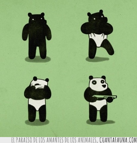 panda,comic,oso,terrorista
