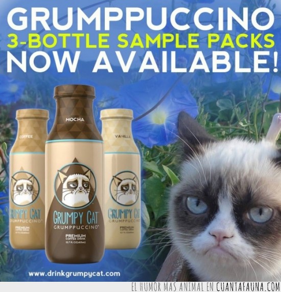 leche,gato,Grumpy Cat,Tard,su amigo es Pokie,botellas,publicidad,grumppuccino