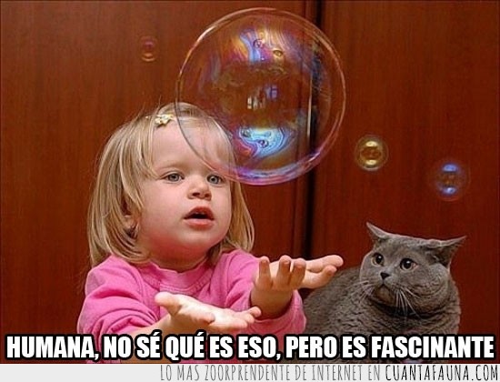 gato,burbuja,niña
