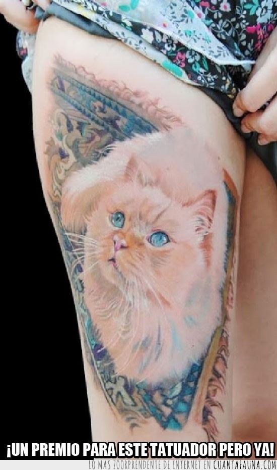 premio,tatuador,gato,tatuaje,tattoo,pierna