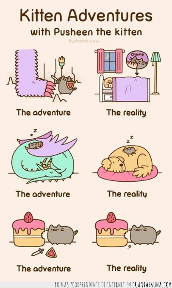 aventura,kitty,adventure kitten,gato,comic