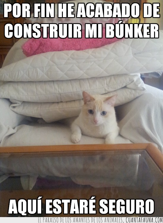 bunker,construir,cojines,sofa,sillon