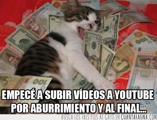 subir videos,youtuber,Youtube,Rico,Gato,Dinero,Billetes