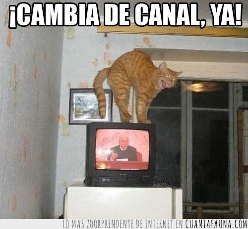 gato,canl,tele,cambiar,ya