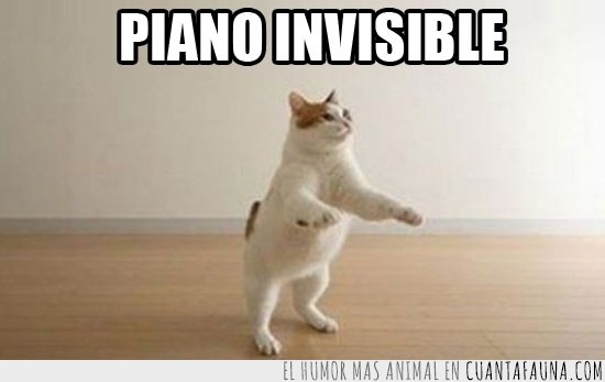 gato,piano,invisible,tocar,aire