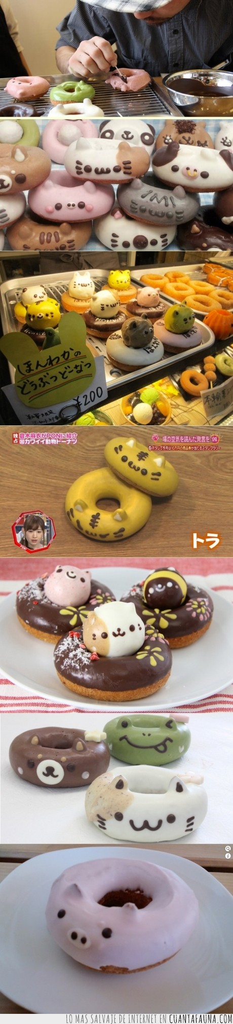 animales,donuts,kawaii,japon,gato,frost