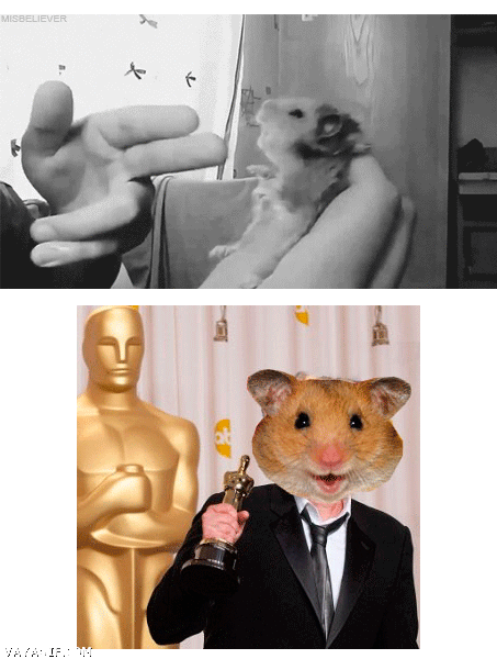 Hamster,Muerte,Actor,Armar,Disparar,Premio,Oscar