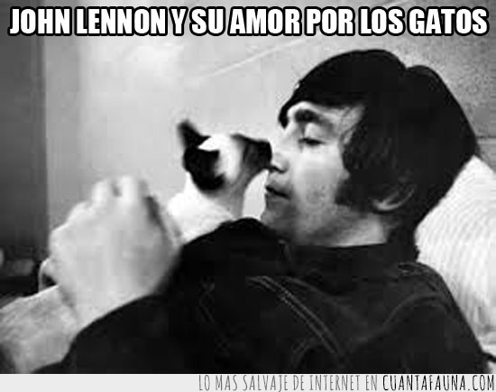 John Lennon,blanco y negro,Gatito