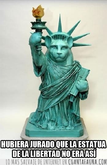 Estatua de la libertad,Gato,Libertad,conquista,nueva york