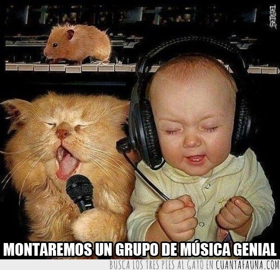 microfono,hamster,bebe,cantante,musica,gato