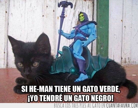 he-man,Gato,negro,skeletor,montura