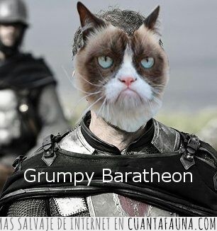 Siete Reinos,Juego de Tronos,Stannis Baratheon,Grumpy Cat