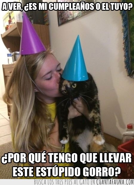 estupido,gorrito,gorro,fiesta,cumpleaños,obligar