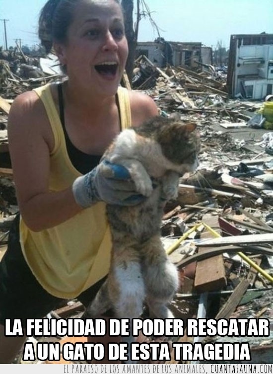 terremoto,derrumbe,tragedia,gato,rescatar,felicidad