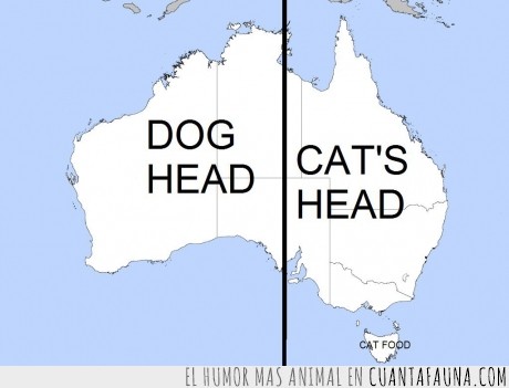 rompe los esquemas,Australia,perro,gato,comida para gatos