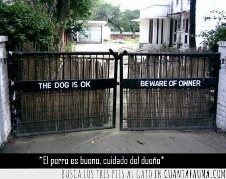 perro,bueno,advertir,dueño,puerta