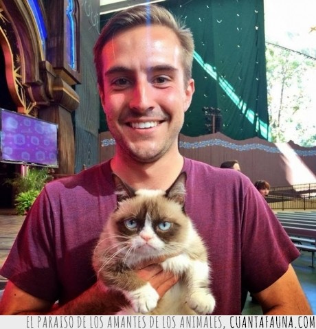 gato,Grumpy Cat,Disneyland,ridiculously Photogenic Guy,together,memes
