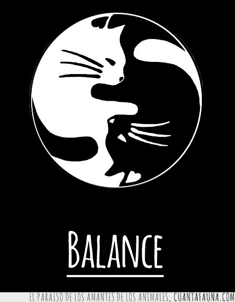 gato,negro,blanco,equilibrio,ying-yang