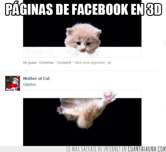pagina,Gato,comentario,Facebook,efecto,truco