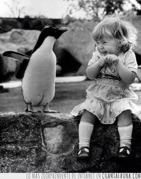 Felicidad,Emocion,Niña,Pinguino,risa