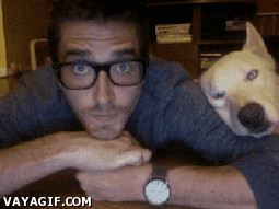 perro,tio,webcam,se parece a babala,aburridos