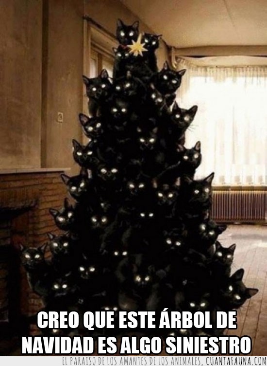 mala suerte de qué?,navidad,árbol,negros,gatos