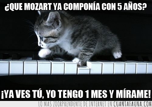 Gato,Mozart,piano,composición,arte,teclas