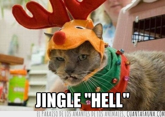 reno,Gato odia las Navidades,amargado,cascabeles,Jingle Hell