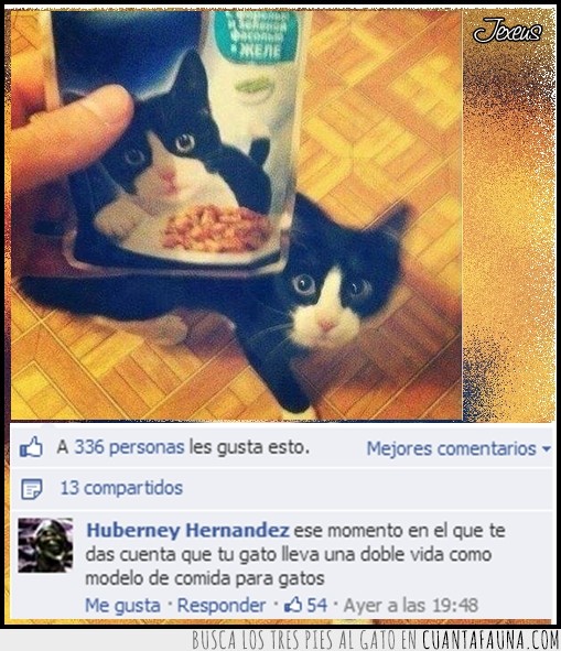 modelo,facebook,doble vida,gato,comida para gato