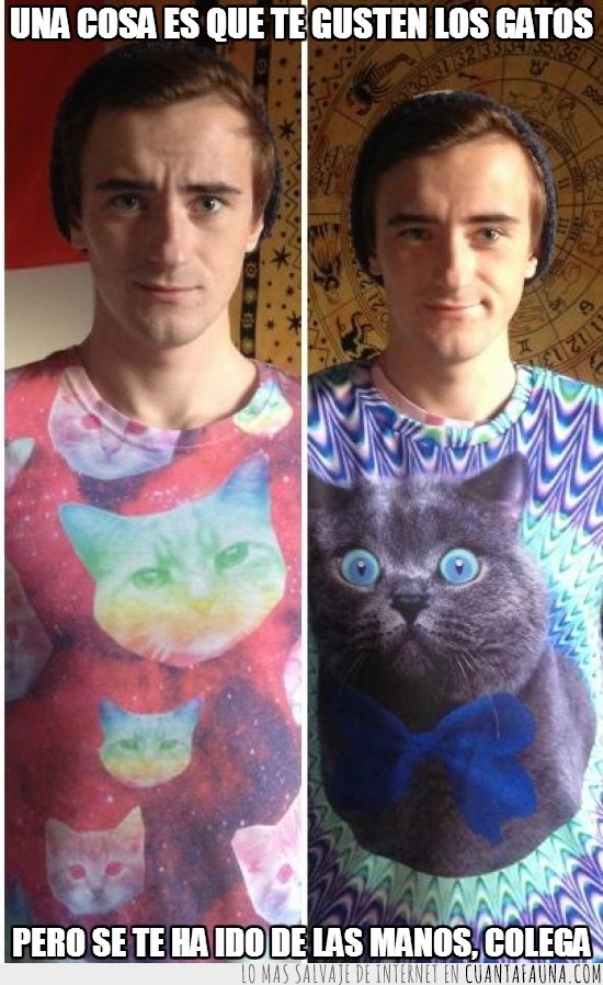 horribles,camisetas psicodelicas,obsesion,gatos,loco de los gatos