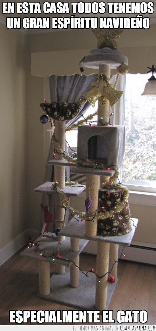 rascador,postes,gato,esepcialmente,decorar,decoracion,espiritu navideño