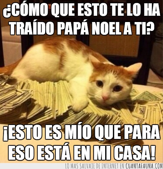 papa noel,regalo,billetes,dinero,guita,gato,pasta