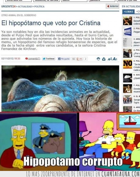 Los,Simpsons,hipopotamo,kent,Argentina