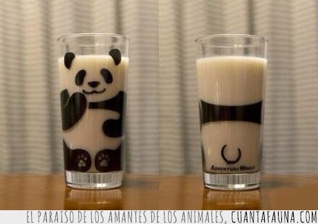 oso,panda,leche,beber,vaso,blanco