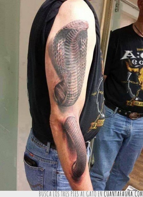 cobra,tatuaje,impresionante,serpiente,salir,entrar