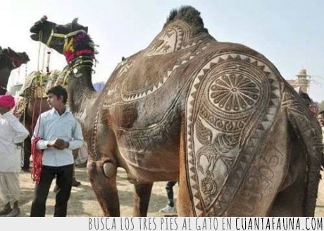 Dromedario,Tribales,Quedaba mejor camello pero ya qué,Desierto,pimp my camel