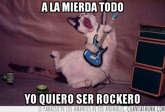 rock and roll,guitarra,loco,gato,electrica,a la mierda