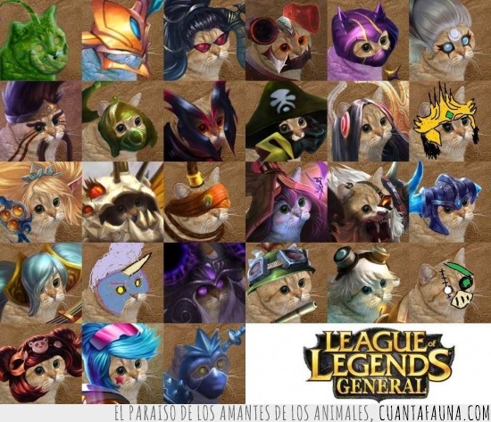 gatos,juego,lol,league of legends