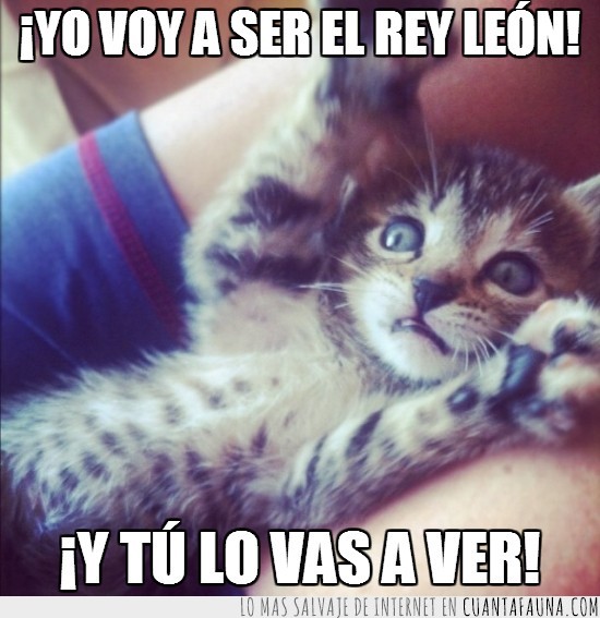 el rey león,ojazos,Gato,ojos,simba